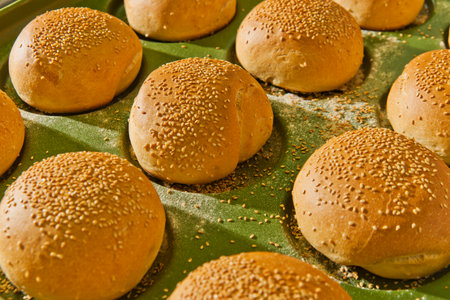 Freshly baked hamburger buns with sesame seeds on baking trayの写真素材