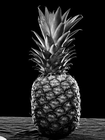 Pineapple on a black background. Black and white photo.の写真素材