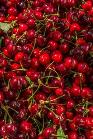 Red ripe cherries on the counter of a farmers market. Backgroundの写真素材