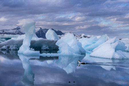 Big pieces of ice (floe) from glacier in the lake, ice islands, glacier and mountains,...