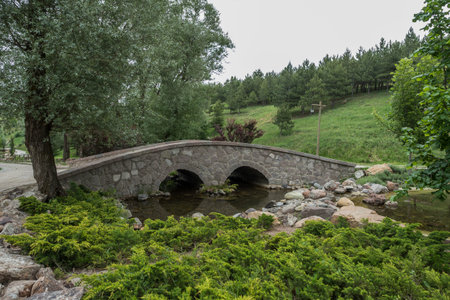 Stone bridge over a stream in the forest, surrounded by trees and bushes
