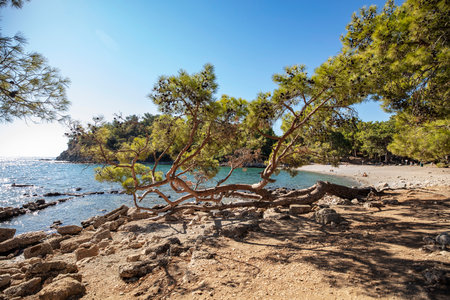 Phaselis ancient city and ruins Antalya Kemerの写真素材