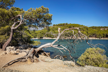 Phaselis ancient city and ruins Antalya Kemer