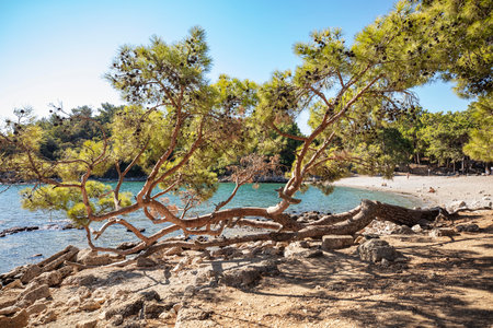 Phaselis ancient city and ruins Antalya Kemerの写真素材