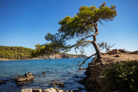 Phaselis ancient city and ruins Antalya Kemerの写真素材