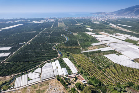 The Ancient Theater in Lmyra, Antalya.の写真素材