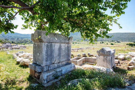 Ruins of the ancient Lycian city Patara, Ancient city entrance door. Patara was at the Lycia (Lycian) League's capital. Antalya, TURKEYの写真素材