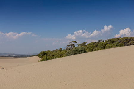 Patara desert, Turkeyの写真素材