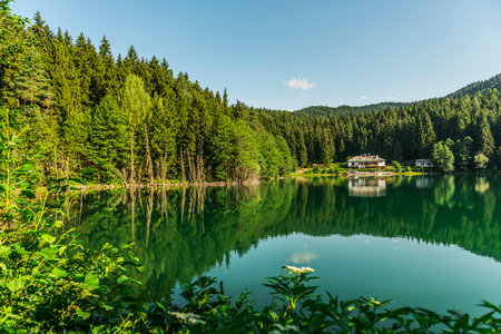 Reflections of a Coniferous Forest on a Black Lake,Artvin,Turkey.の写真素材