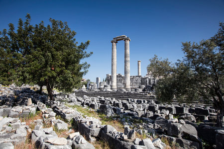 Ruins of the temple of Apollo in the ancient city of Didyma, Aydin, Turkey.の写真素材