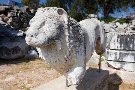 Ruins of the temple of Apollo in the ancient city of Didyma, Aydin, Turkey.の写真素材
