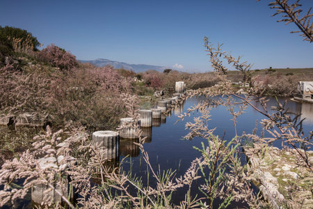 Miletus was an ancient Greek city on the west of Anatolia, near the Maeander River in ancient Caria....