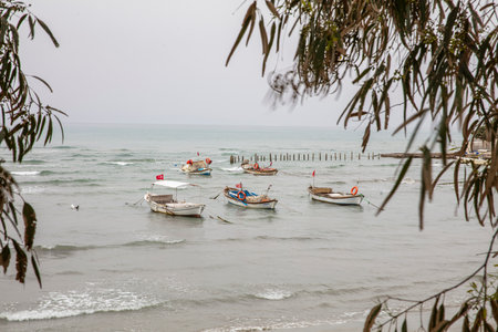 Fishing boats on the beach of the Indian Ocean, Sri Lankaの写真素材