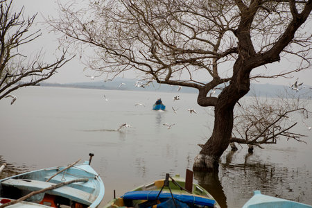 Fishing boat and seagulls on the lake in Thailandの写真素材