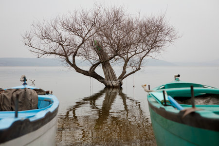 Boat and tree in the lake, Thailand. Selective focus.の写真素材