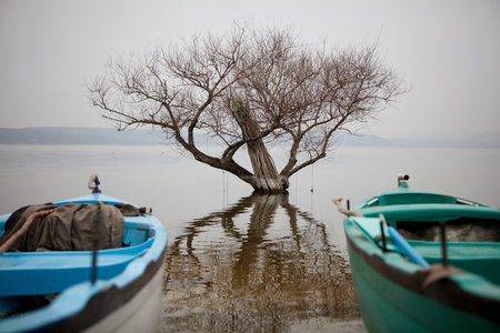 Boat on the lake with tree in foggy day, Thailandの写真素材