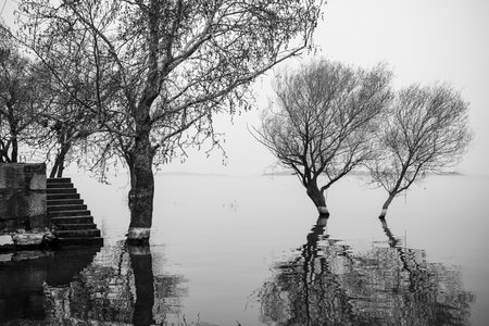 Lake and trees in winter. Black and white photo. Beautiful landscape.の写真素材