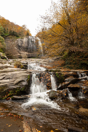 Autumn landscape with waterfall and fallen leaves on the rocks in the forestの写真素材