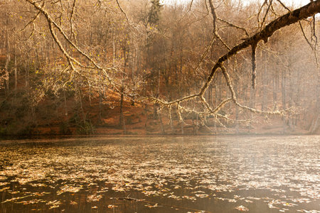 Foggy morning on the lake in the autumn forest. landscapeの写真素材