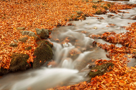 Autumn leaves on the rocks in the river. Beautiful fall landscapeの写真素材
