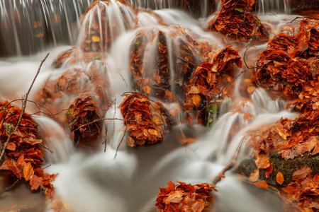 Autumn forest waterfall with fallen leaves in the foreground and blurred backgroundの写真素材
