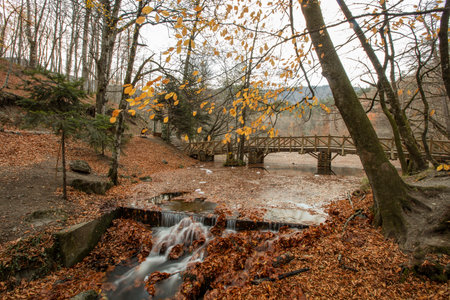 Autumn landscape with a bridge over the river in the forest.の写真素材