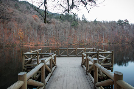 Wooden bridge over the lake in the autumn forest on a cloudy dayの写真素材