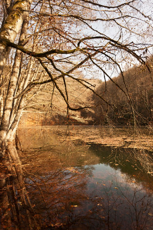 Autumn landscape with river, trees and leaves in the forest.の写真素材