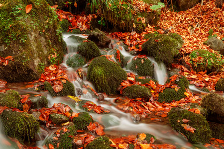 Waterfall in the autumn forest with fallen leaves and mosses.の写真素材