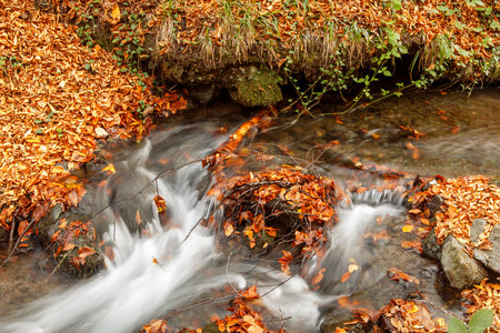 autumn landscape with a small waterfall on the river in the forestの写真素材