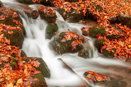 Waterfall in autumn forest with colorful leaves and rocks covered with mossの写真素材