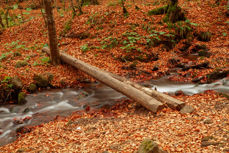 Beautiful waterfall in forest, seven lakes. Turkeyの写真素材