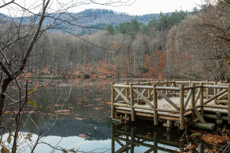 Wooden bridge over the lake in the autumn forest with fallen leavesの写真素材