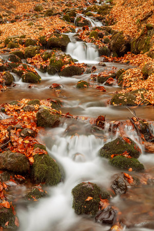 Autumn creek with colorful leaves and rocks in the forest. selective focusの写真素材