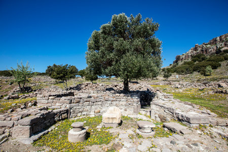 The Temple of Athena ruin in Assos Ancient City. The temple in Assos was built in 530 BC on the highest place of the Acropolis. Canakkale, Turkey.の写真素材