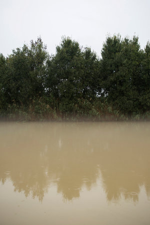 Landscape view of a flooded field with trees in the background.の写真素材