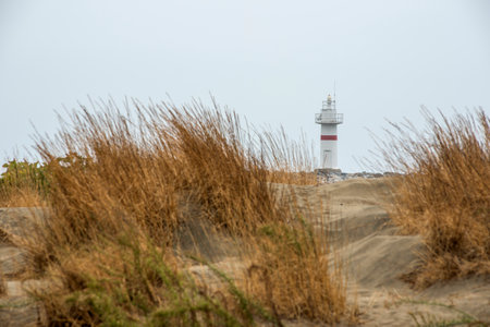 Lighthouse on the dunes at the north Sea coast of Germanyの写真素材