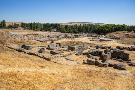 Ancient city of AlacahÃ¶yÃ¼k, monumental gate with sphinx dating back to the Hittite imperial age. Turkey Corum Alacaの写真素材