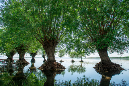Civril Isikli Lake in Denizli.の写真素材