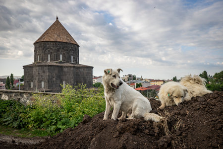 Eastern Anatolia, Turkey. Cityscape of the Kars town in Kars provinceの写真素材
