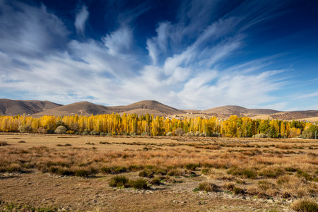 Autumn landscape with yellow trees in the Altai mountains, Russiaの写真素材