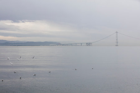 The Osmangazi Bridge (Turkish: Osman Gazi KÃ¶prÃ¼) is a suspension bridge of Turkey.の写真素材