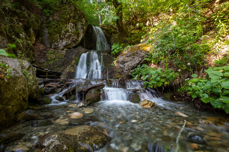 Waterfall in the forest. Beautiful summer landscape with a waterfall.の写真素材