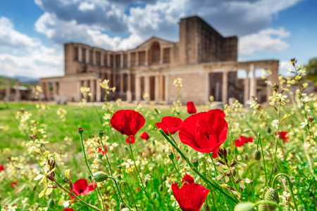 The ancient city of Sardis or Sardis at sunset. The city of Sard, the capital of the Lydians. Turkey's most famous ancient cities. Salihli district, Manisa, Turkeyの写真素材
