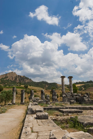 Ancient City Sardes (Sardis) Ancient City with gymnasium and synagogue ruins and columns in Manisa.の写真素材