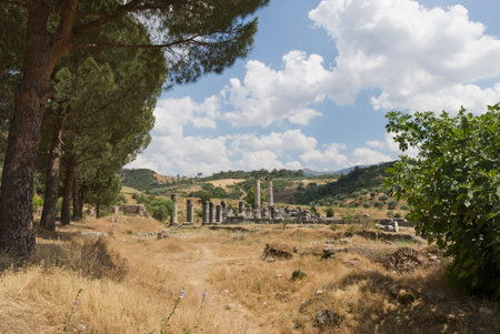 Ancient City Sardes (Sardis) Ancient City with gymnasium and synagogue ruins and columns in Manisa.の写真素材