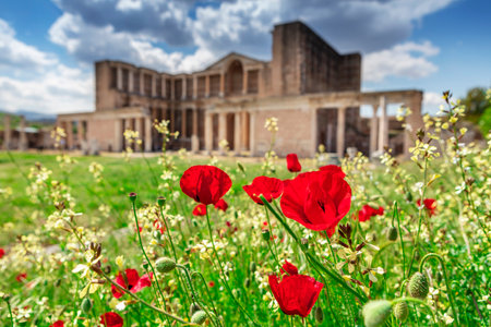 The ancient city of Sardis or Sardis at sunset. The city of Sard, the capital of the Lydians. Turkey's most famous ancient cities. Salihli district, Manisa, Turkeyの写真素材