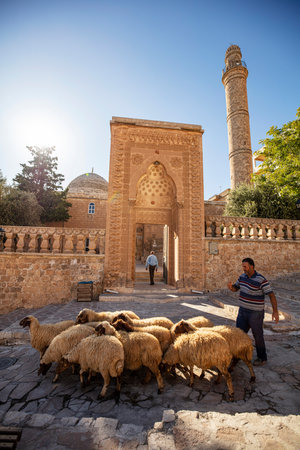 Traditional pink stone houses of Mardin Old town Mesopotamia in the background- Mardin, Turkeyの写真素材