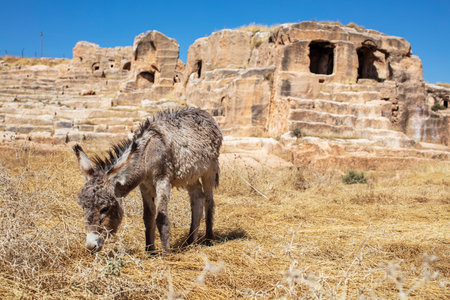 Dara Ancient City. Mesopotamia. Mardin, Turkey. Dara Ancient City, one of the most important settlements of Mesopotamia.の写真素材
