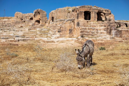 Dara Ancient City. Mesopotamia. Mardin, Turkey. Dara Ancient City, one of the most important settlements of Mesopotamia.の写真素材